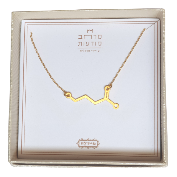 ⁦שרשרת גאבא - על רוח וחומר⁩ – תמונה ⁦2⁩